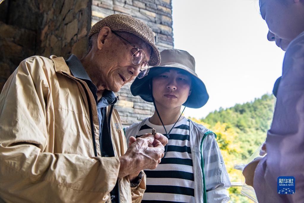 大奖网官网登录